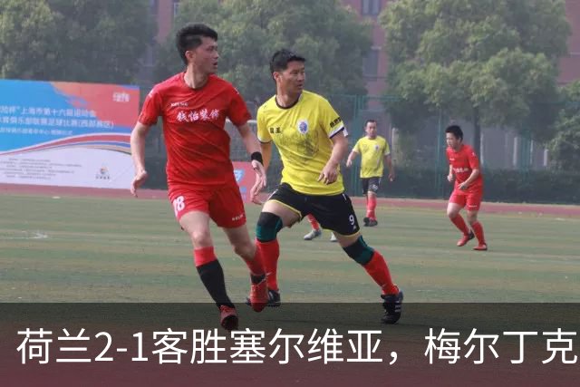 荷兰2-1客胜塞尔维亚，梅尔丁克双响，加克波伤退